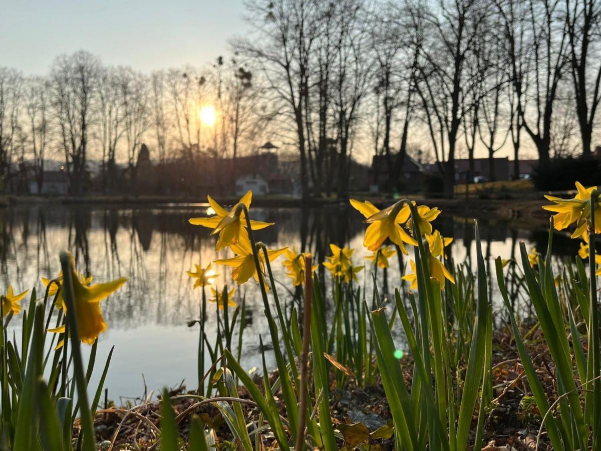Parkhotel Am Schwanenteich باد سودين أليندورف المظهر الخارجي الصورة