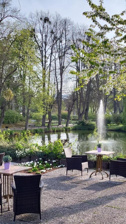 Parkhotel Am Schwanenteich باد سودين أليندورف المظهر الخارجي الصورة