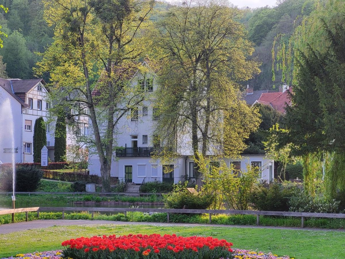 Parkhotel Am Schwanenteich باد سودين أليندورف المظهر الخارجي الصورة