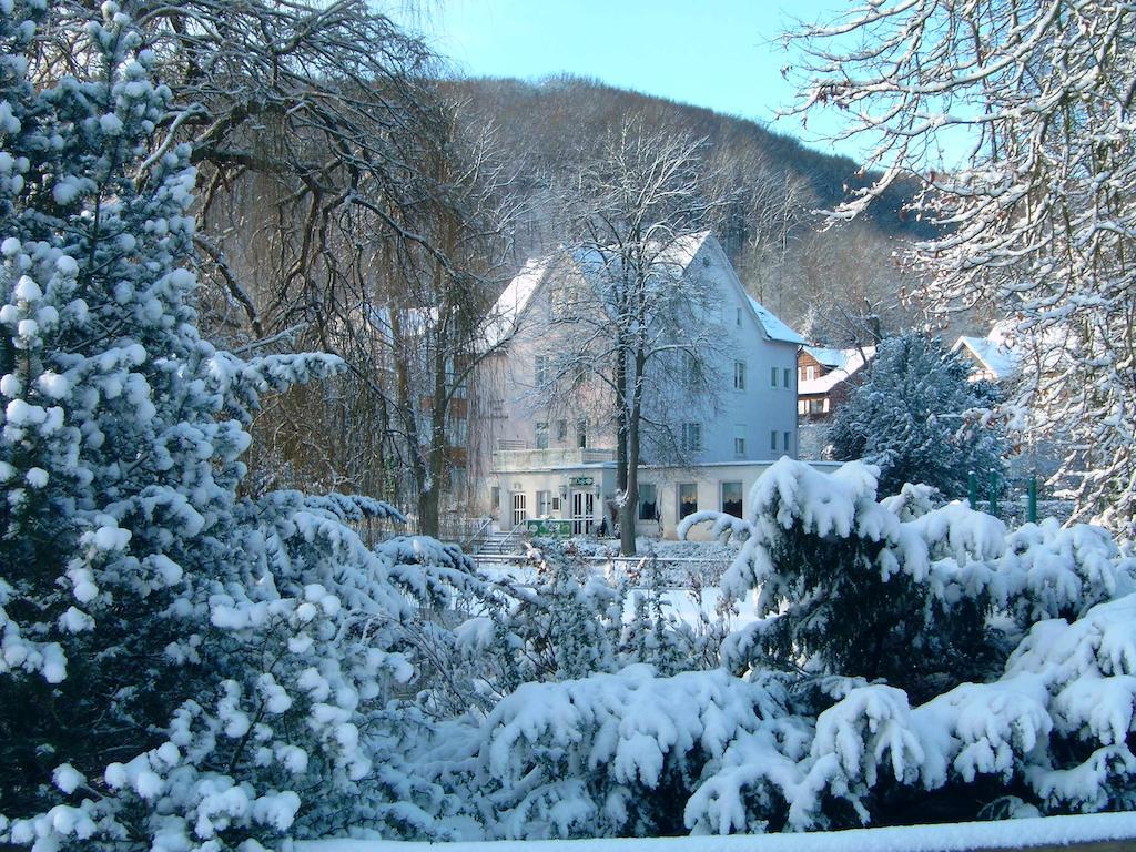 Parkhotel Am Schwanenteich باد سودين أليندورف المظهر الخارجي الصورة