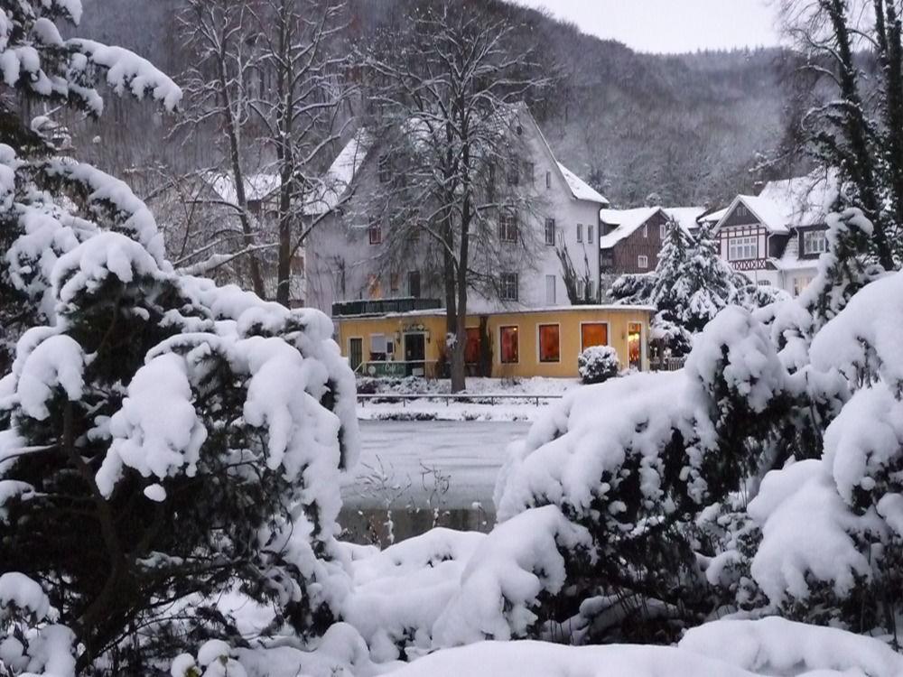 Parkhotel Am Schwanenteich باد سودين أليندورف المظهر الخارجي الصورة