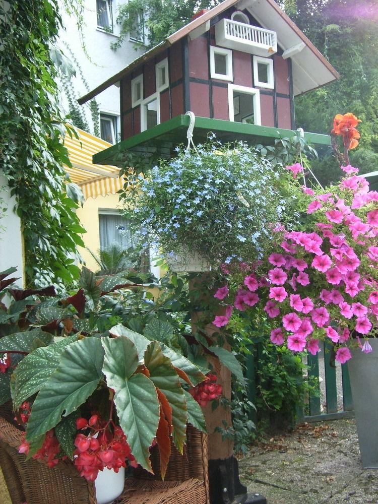 Parkhotel Am Schwanenteich باد سودين أليندورف المظهر الخارجي الصورة